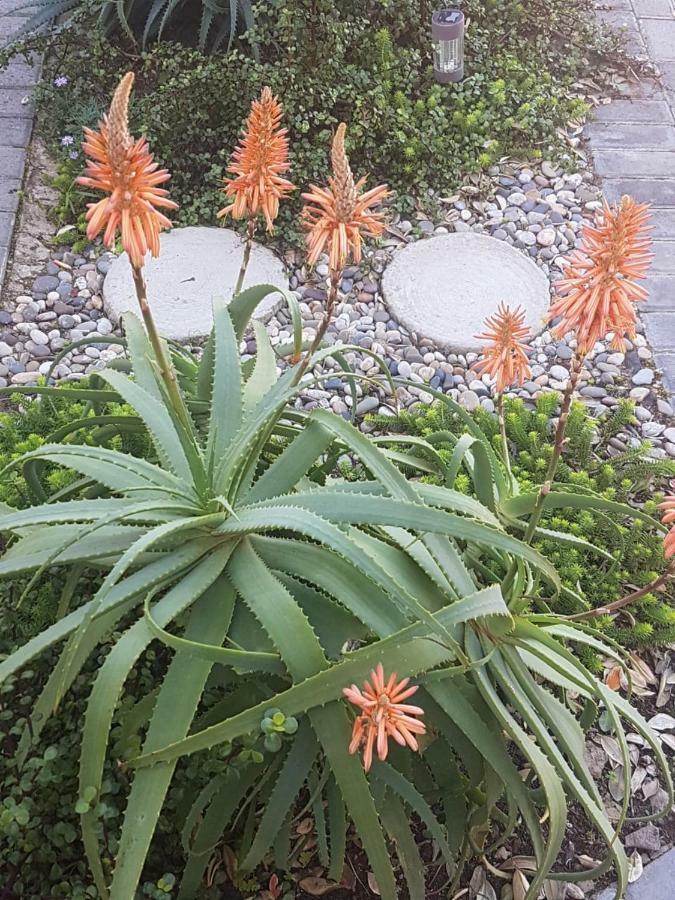 모젤베이 Aloe @ The Sea 아파트 외부 사진